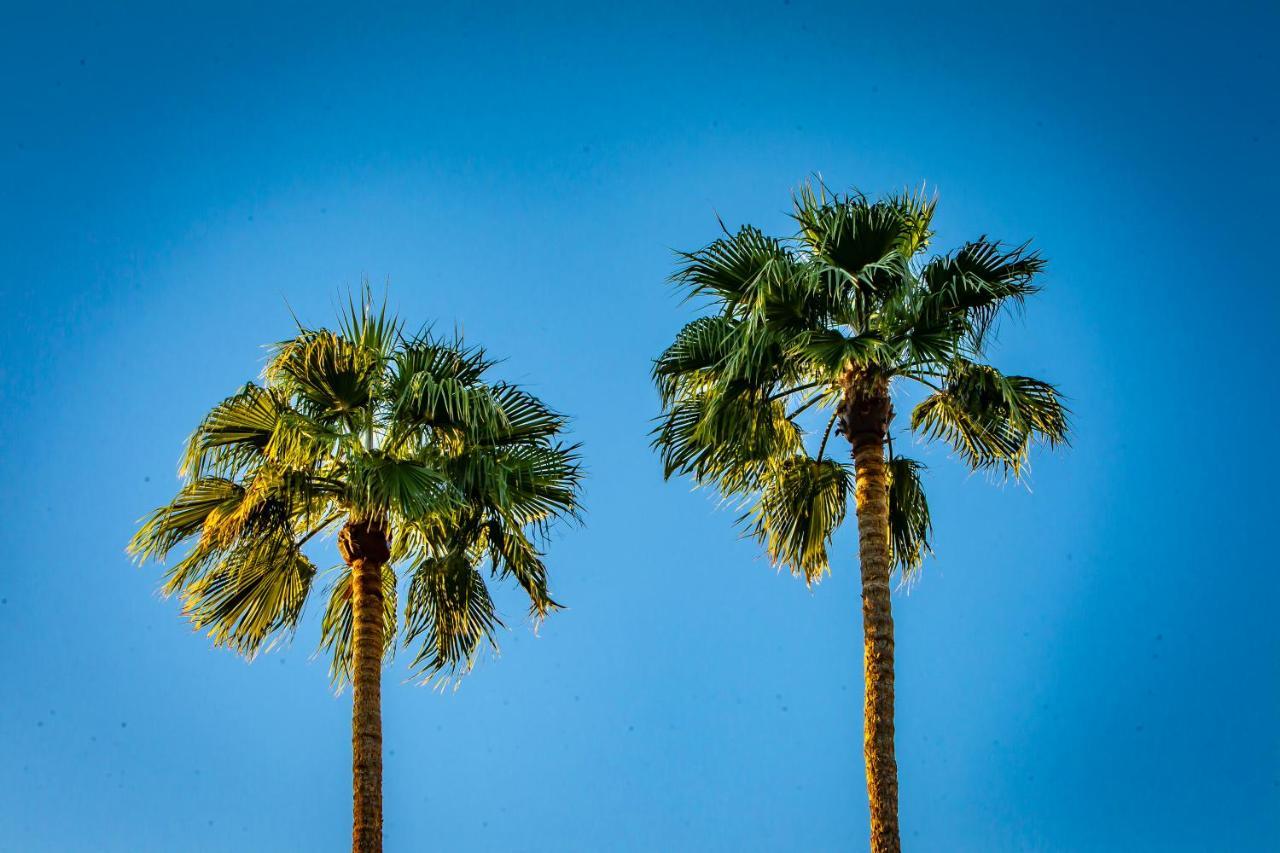 Hotel California Palm Springs Exteriér fotografie